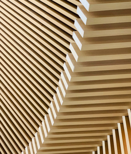 Diseño Madera Amado Estudio